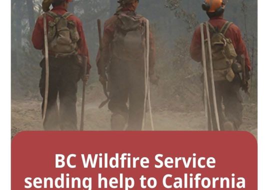 Eagle Homes - Los Angeles Fires